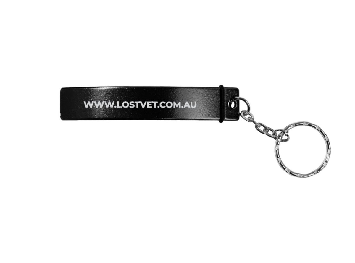 Bottle opener keychain